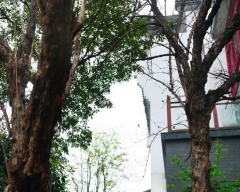 芙蓉古城紫微园楼盘详情 - 凤凰房产成都