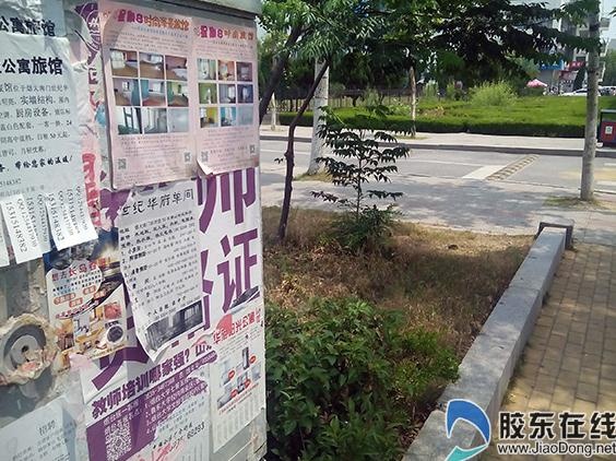 烟台蚁族掀租房潮 群租或违法 --凤凰房产烟台