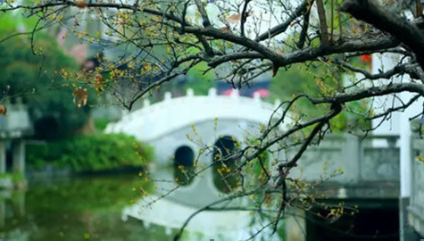 成都最有情怀的别墅 芙蓉古城照亮诗意生活 --