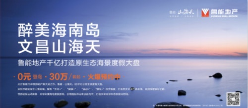 能帮忙介绍下鲁能软件么?