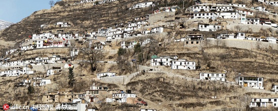 甘肃宕昌县沙湾镇赵家坡村地处海拔近2000米的大山坡上，有四个村民小组228户1132人，长期以来，