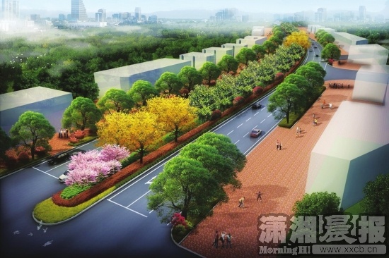 到韶山路浓阴绿道上骑行 --凤凰房产长沙