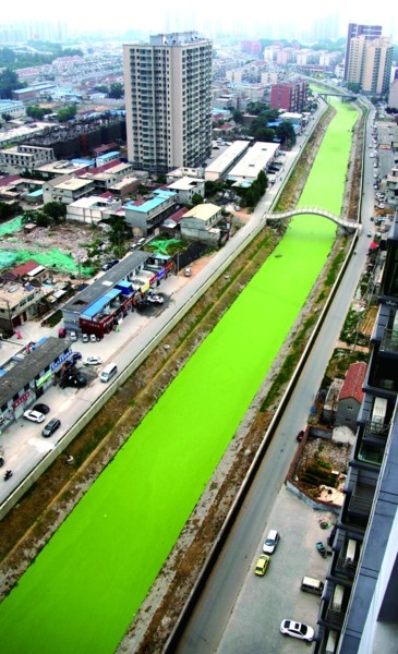死水加排污:济南腊山河水质污染变绿毯 --凤凰