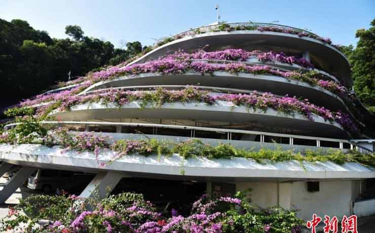 在杭州买房落户 这些事情你应该知道! --凤凰房