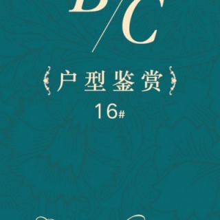 16#B/C户型