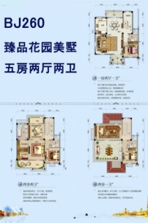 E户型