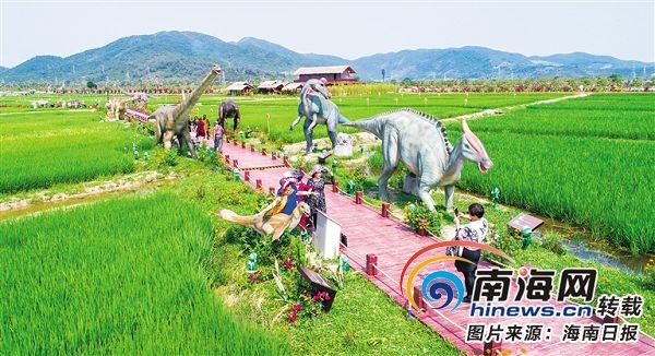 三亚海棠湾水稻国家公园游客入园量已逾20万