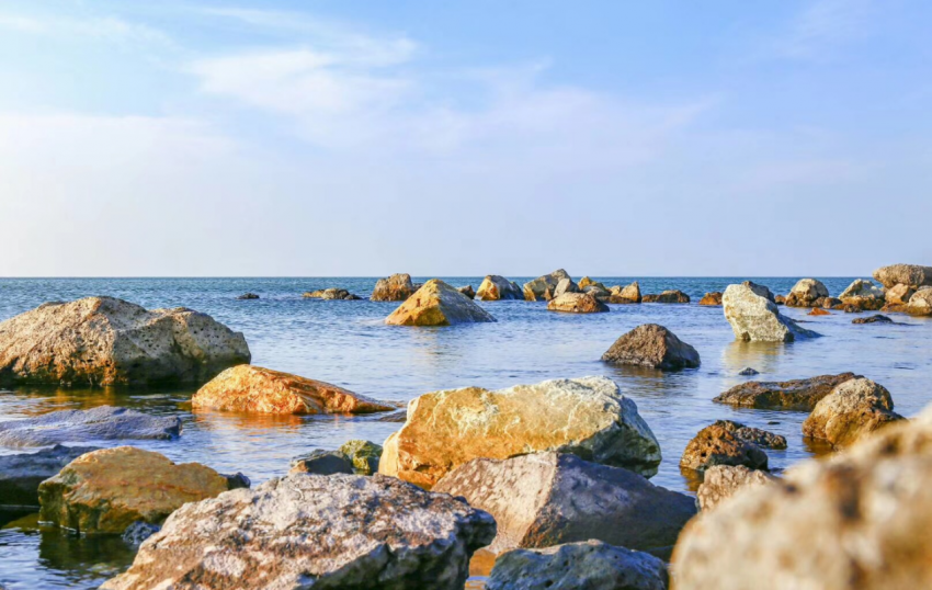 2019龙口gdp_龙口粉丝