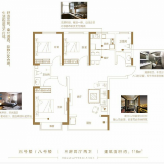 5#8#楼C户型