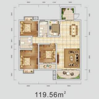 119.56㎡