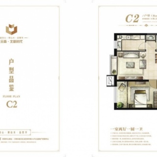 9#地C2户型