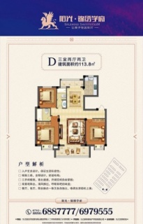 D户型
