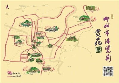 紫荆花季将至,柳州市"2019年最佳赏花线路图"出炉