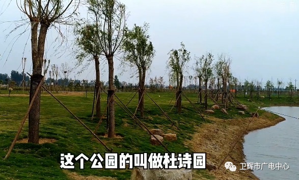 【好消息】新乡即将诞生一大型湿地公园,地点在.