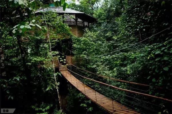 深山老林隐居有人管吗 7484b3d430b502635084c1db71c433f7.jpg