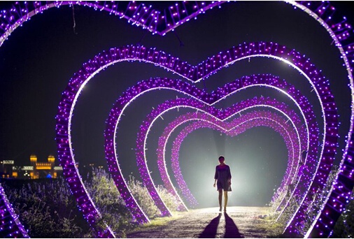 另一边是大片的许愿树,千条星光串灯从树枝上垂下.