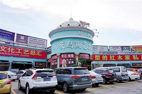 广州荔湾区花地湾要改造 花鸟世界将搬迁?