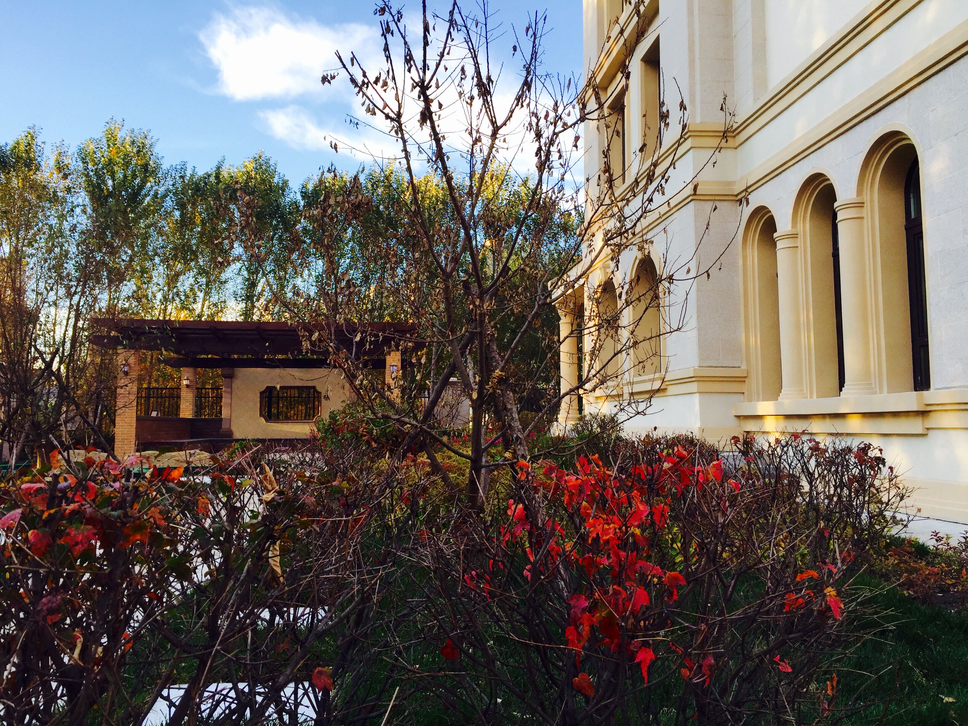 实景图_玫瑰湾·珑岸实景图-哈尔滨凤凰网房产