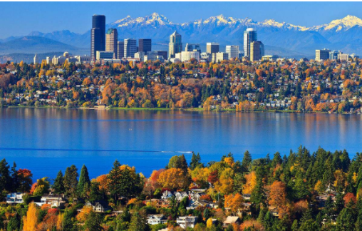 湖畔鲜氧,近享城央……这是旭辉宝龙东湖城带来的大江东人居新篇章