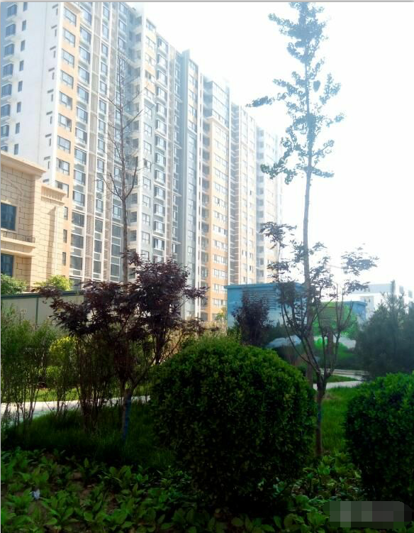 实景图_三奕润城实景图-邢台凤凰网房产