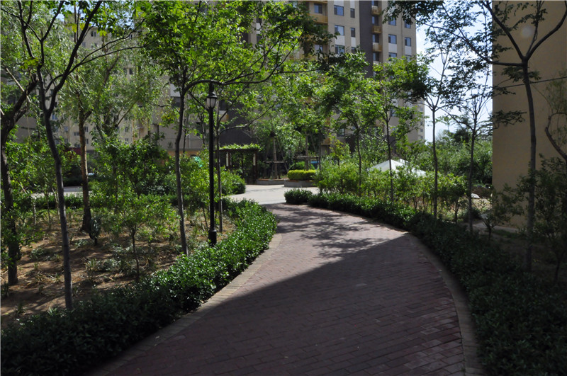 淄博楼盘 张店区楼盘 恒和·花半里 恒和·花半里相册