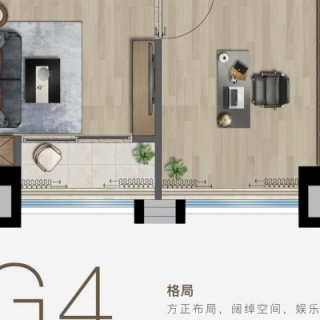 G4户型