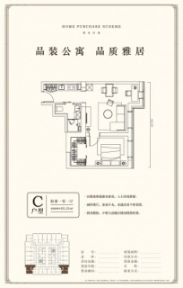 C户型 轻奢一室一厅