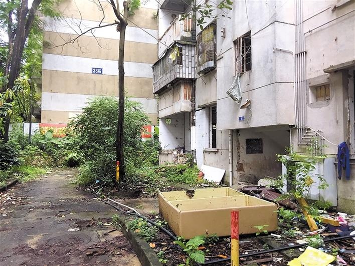 小区内房屋破旧,年久失修,存在重大安全隐患.