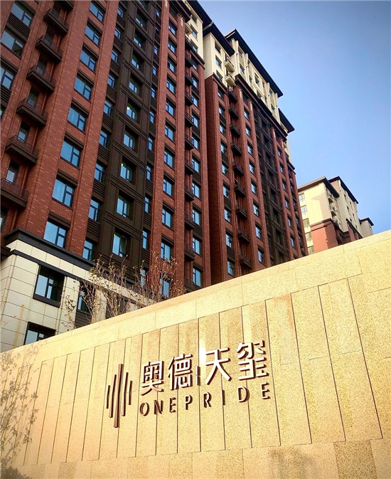 臻心交付 | 家期如约而至,心归奥德天玺